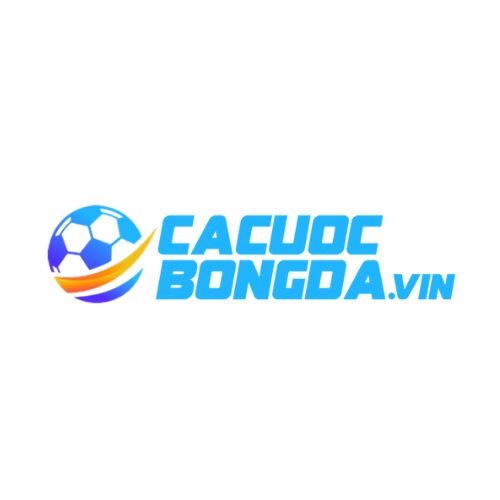cacuocbongdavin